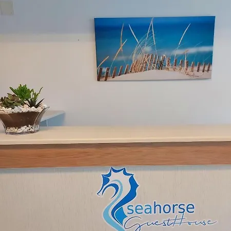 Seahorse