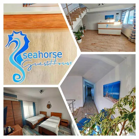 Seahorse 招待所 那沃达利