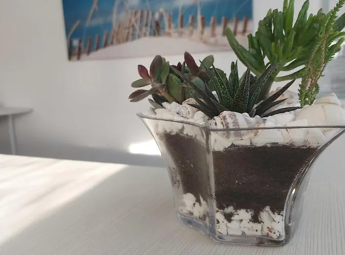 Seahorse Guest house Navodari